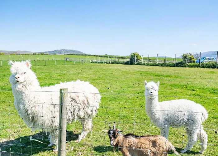 2 Bed In Isel Oc-s32076 Holiday home *